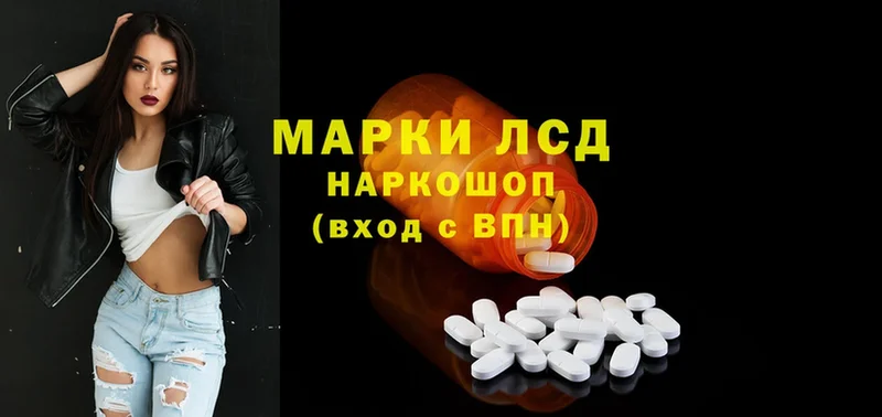 blacksprut рабочий сайт  как найти закладки  Карачев  LSD-25 экстази ecstasy 